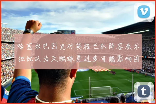 哈塞尔巴因克对英格兰队阵容表示担忧认为天赋球员过多可能影响团队合作