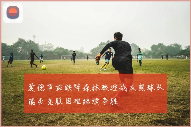 爱德华兹缺阵森林狼迎战灰熊球队能否克服困难继续争胜