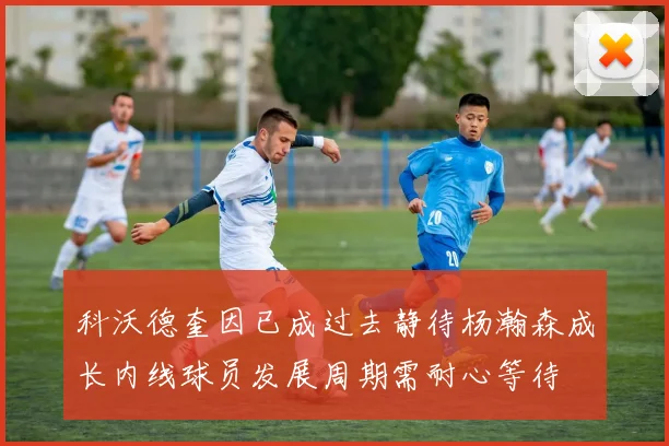 科沃德奎因已成过去静待杨瀚森成长内线球员发展周期需耐心等待