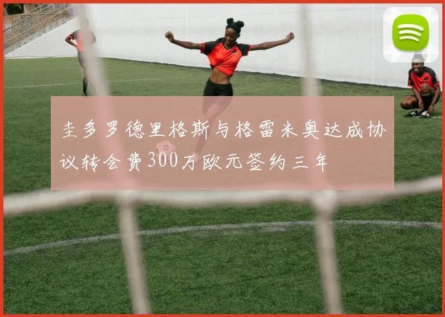 圭多罗德里格斯与格雷米奥达成协议转会费300万欧元签约三年