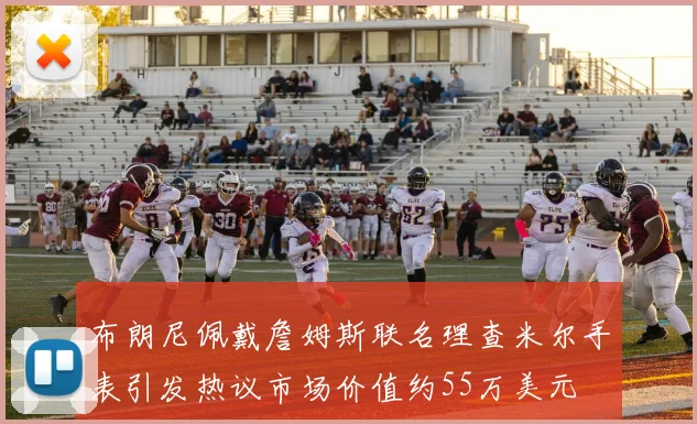 布朗尼佩戴詹姆斯联名理查米尔手表引发热议市场价值约55万美元