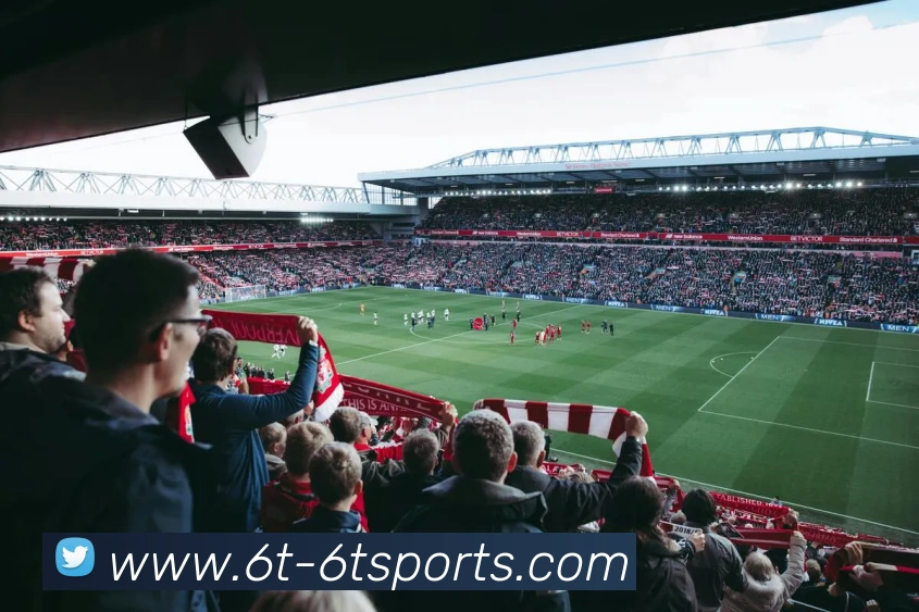 6t体育平台生态图